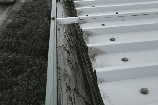 Commercial gutter cleaning specialists in Buntingford